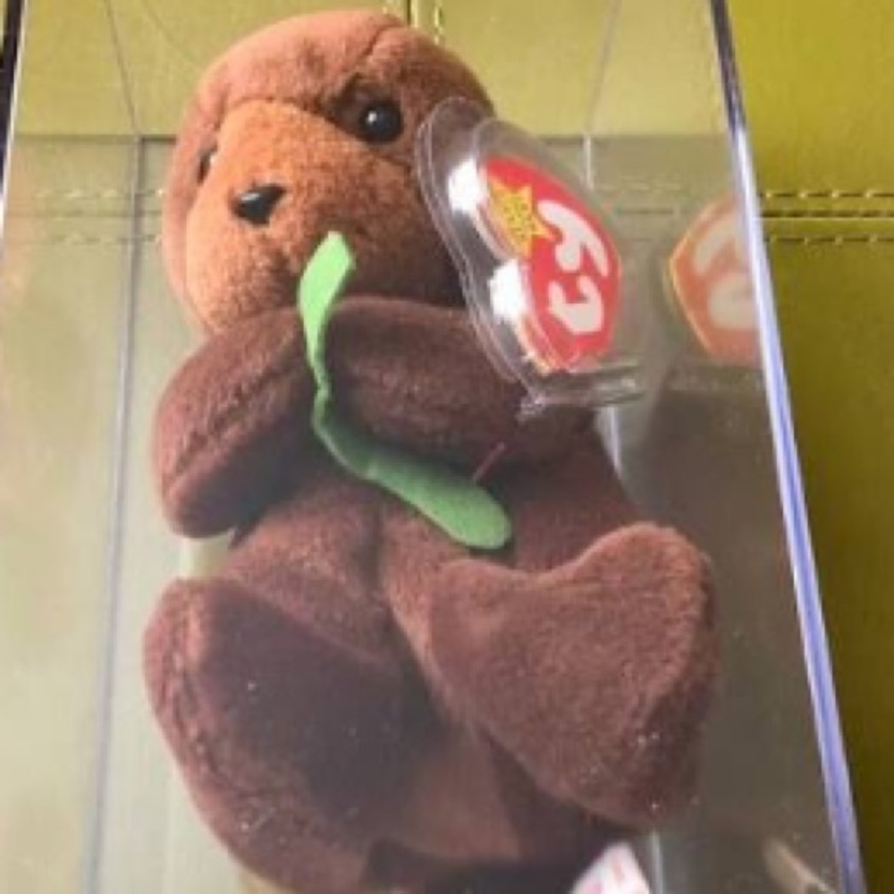 Retired 1995/1996 Seaweed Otter